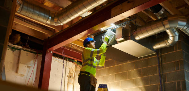 Best Air Duct Sanitizing Services  in Kalaheo, HI