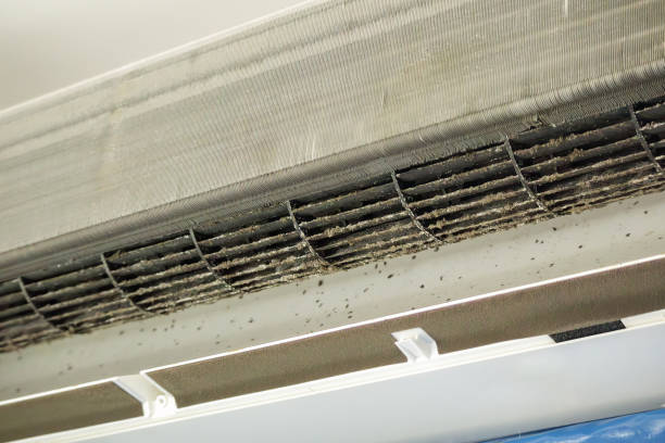 Best Emergency Air Duct Cleaning  in Kalaheo, HI